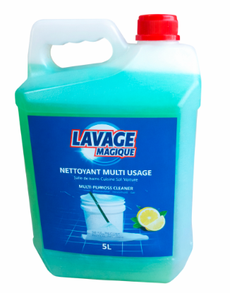 LAVAGE MAGIQUE, NETTOYAGE MULTI-USAGE (MULTI PURPOSE CLEANER)-(salle de bains, cuisine, sol, voiture,…) BIDON DE 5 LITRES