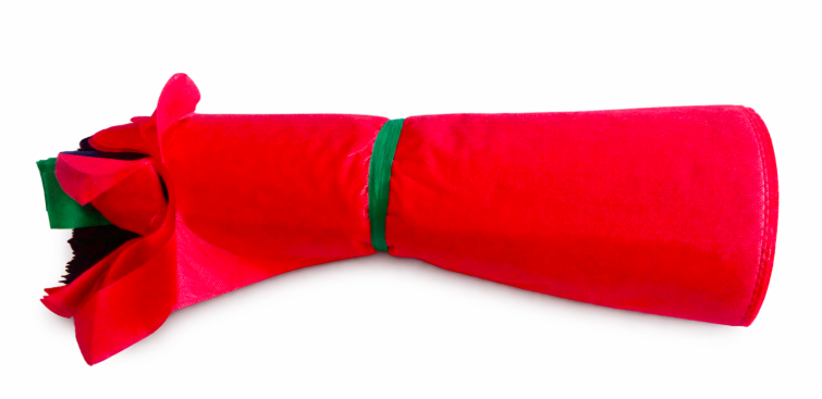 SACHET RECYCLABLE 300 (Rouleau de 50 pièces)